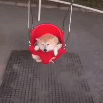 韩国欧尼出街穿搭，温柔甜美尽收眼底，学会就去炸街