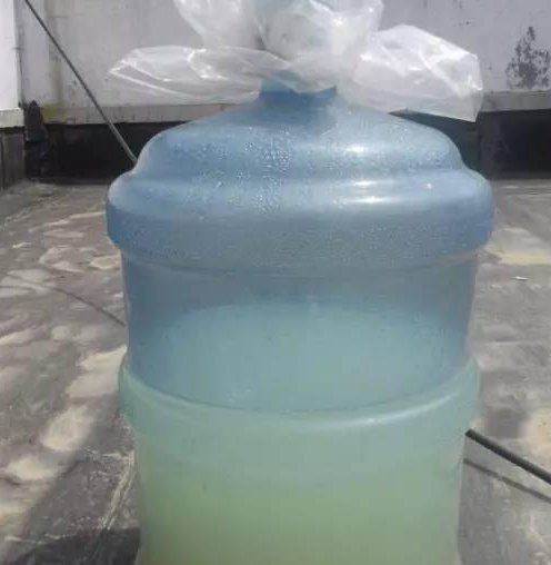 溶液|家中养花，这5毛钱的小东西别乱丢，能让花蹿到2米高，你知道了吗