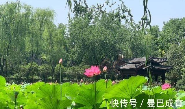 莲湖公园|六百年前只有“贵族”才能进，如今成免费景区，当地人“慌了”