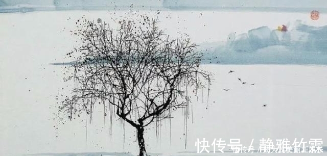 辛夷@一轮明月照千古,一首孤篇盖全唐,这首诗沉寂了1200年才发出光芒