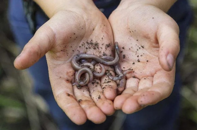 鲫鱼别一味用台钓,老钓手才不会说,这玩法十用九准,学会够你忙