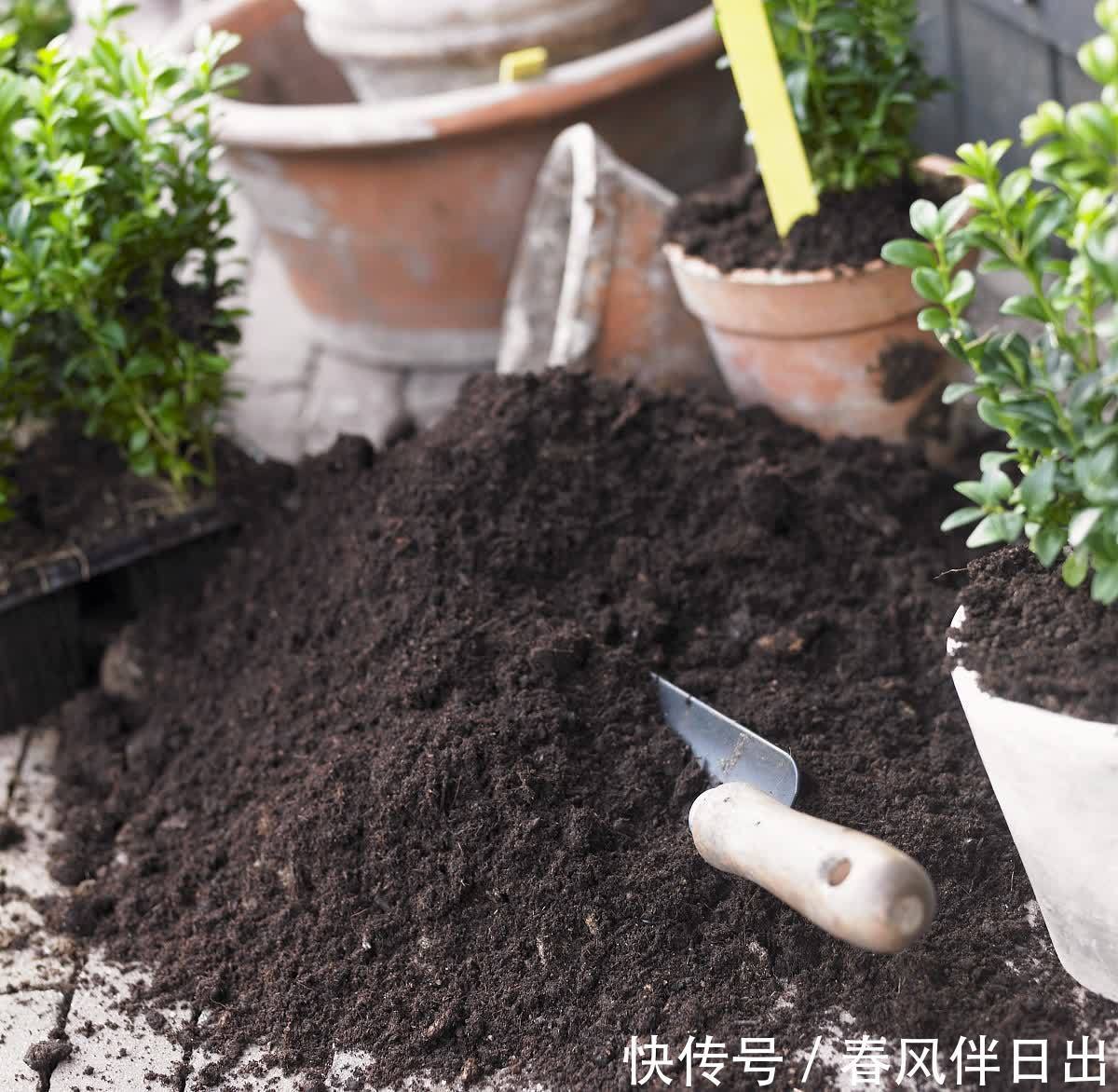 多菌灵用处大，养花离不了，防烂根黄叶，便宜又好用，养花一级棒