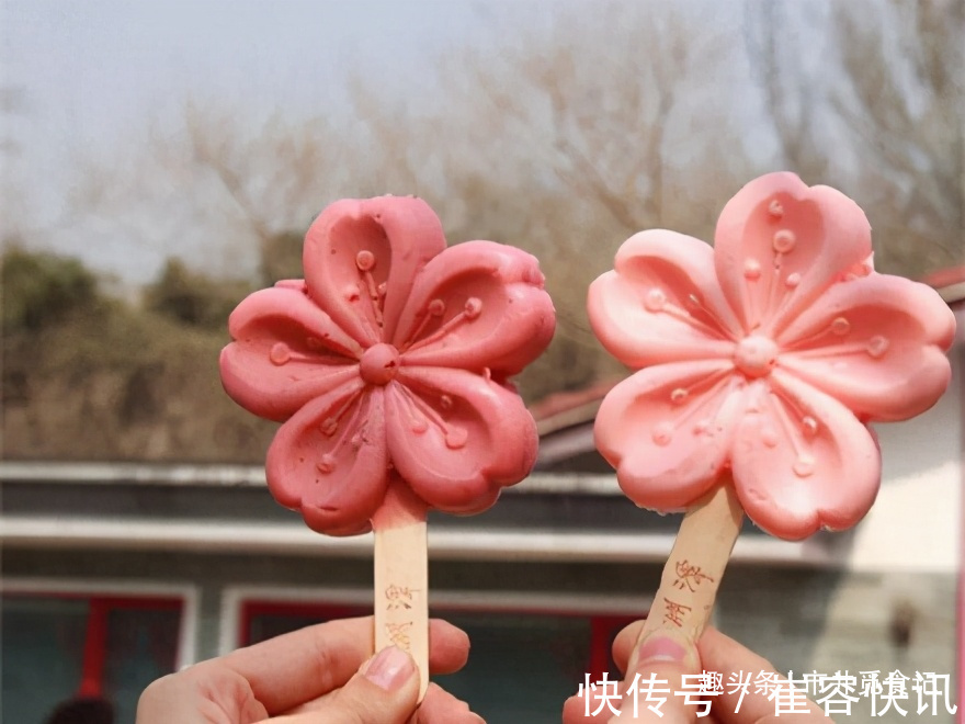 贵族|雪糕中的“5大贵族”,一根卖十多元,和1箱小布丁比你选择谁