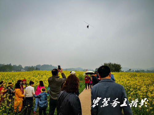 解密潼南的陈抟故里景区，来这里观赏油菜花海已成了水陆空全覆盖