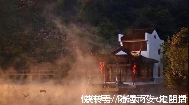 小犬#举人老爷出一上联小犬无知,闯入深山窥虎豹!秀才的下联太横了!