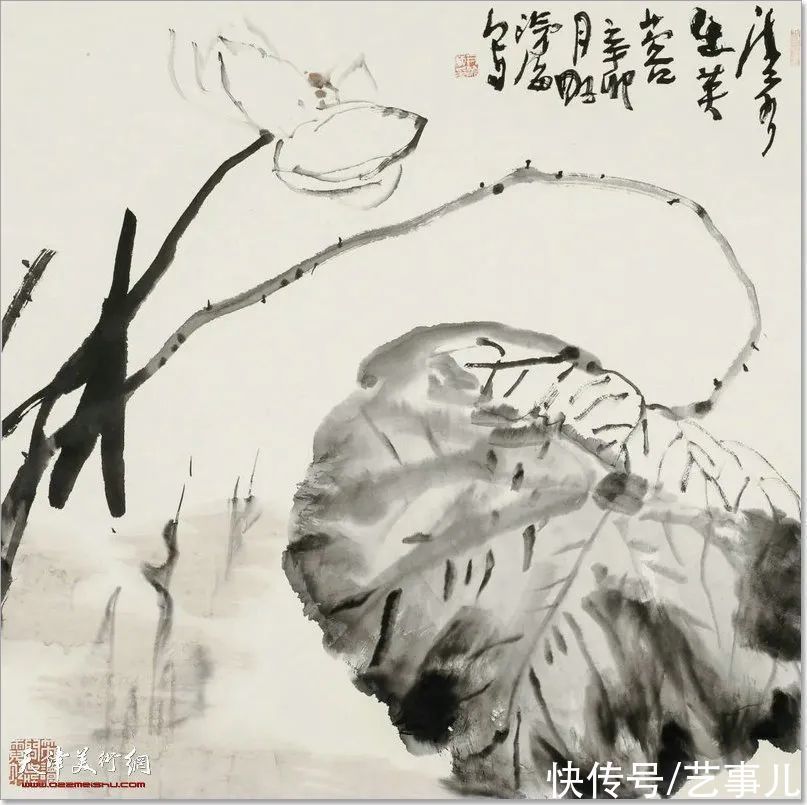 库尔勒!尹沧海教授荷花水禽作品欣赏:笔意简率自由 一派天趣自成