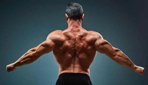 g健身之后身体不酸痛,就代表着不长肌肉这其实是个大误区