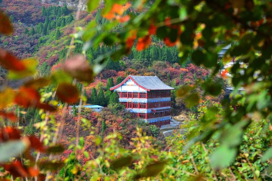 藏龙涧|又是一年红叶时，推荐6处济南免费又好玩的赏红叶景点