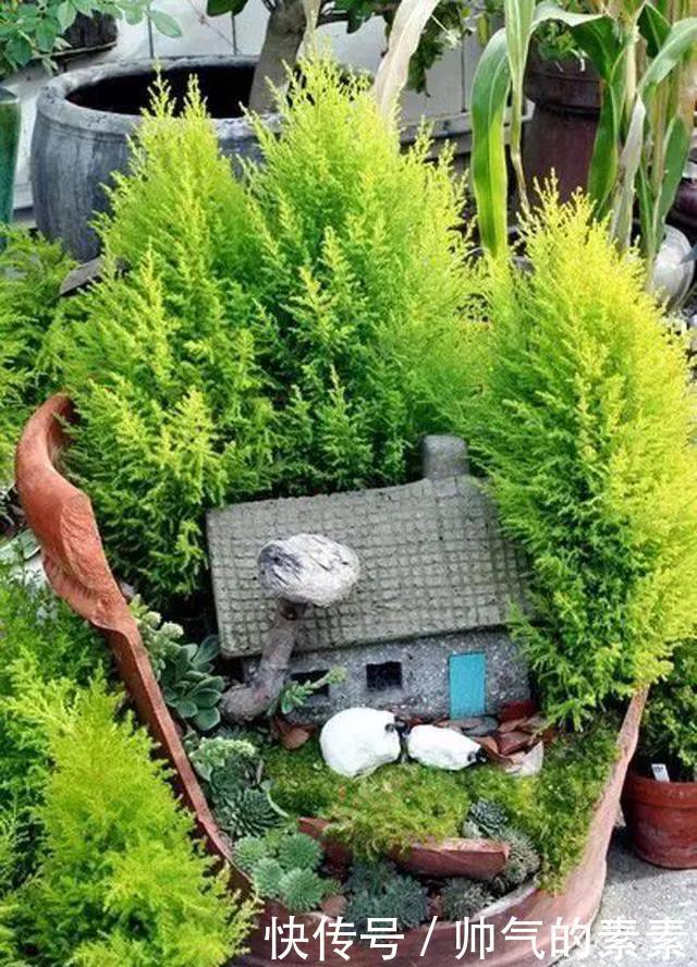 只要脑洞够，万物皆可花盆