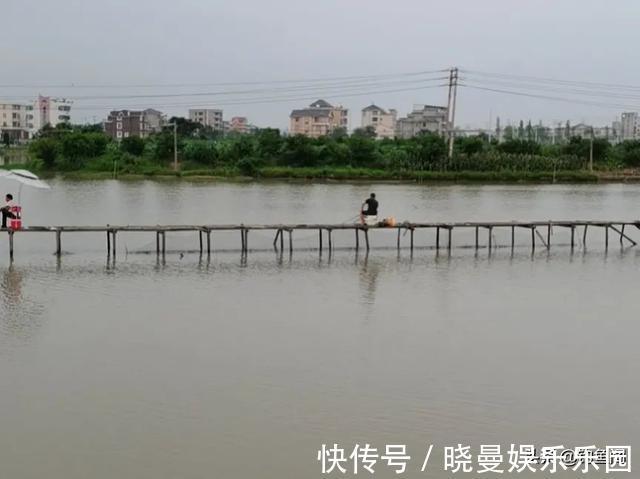 阴沟|黑坑老板阴沟里翻船，这次被钓鱼人给“坑”倒闭了