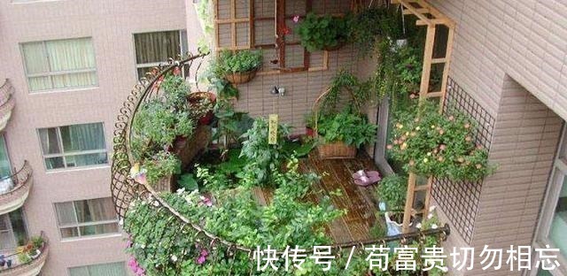 阳台|建议各位不管阳台多大,学聪明人添上“这几样”,那叫一个洋气!