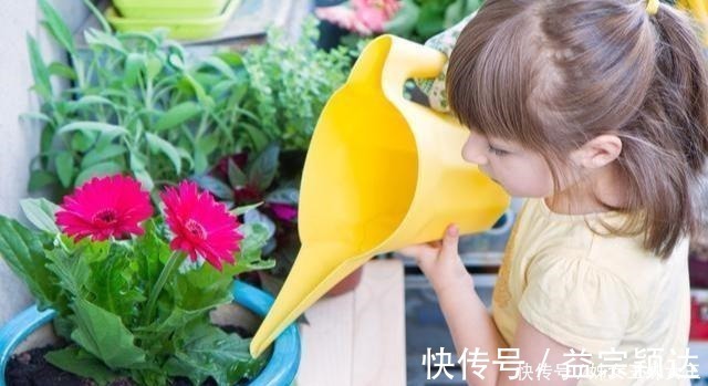 叶子|磷酸二氢钾,喷叶子好还是灌根好看一眼就能明白,别弄错了!