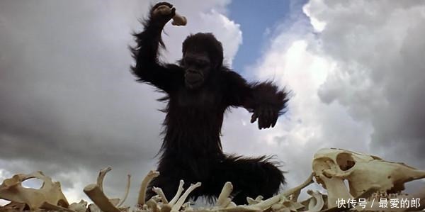 想象力|豆瓣评分9.2,被刘慈欣誉为“人类想象力天花板”的神作!