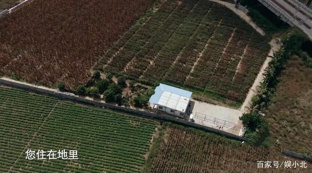 落泪|程相文先生的哽咽，任鲁豫的落泪，让观众笑着笑着就跟着哭了起来