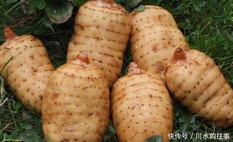 能治|医生说,天麻能治眩晕,但好多人吃错了,这种眩晕就不能用天麻