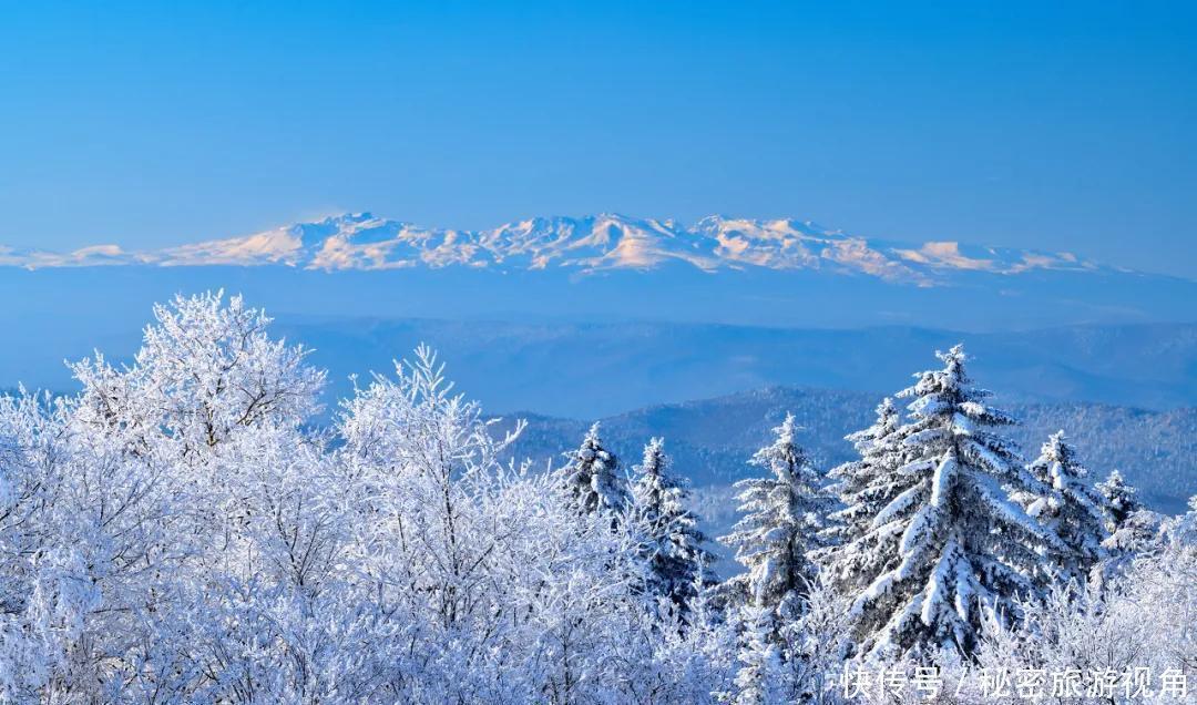 雾凇|一路向北，去中国最美的地方看冰花雾凇，逛梦幻雪乡！