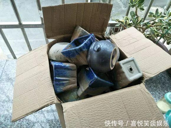  几十个高价花盆，被扔在垃圾桶旁，捡还是不捡？