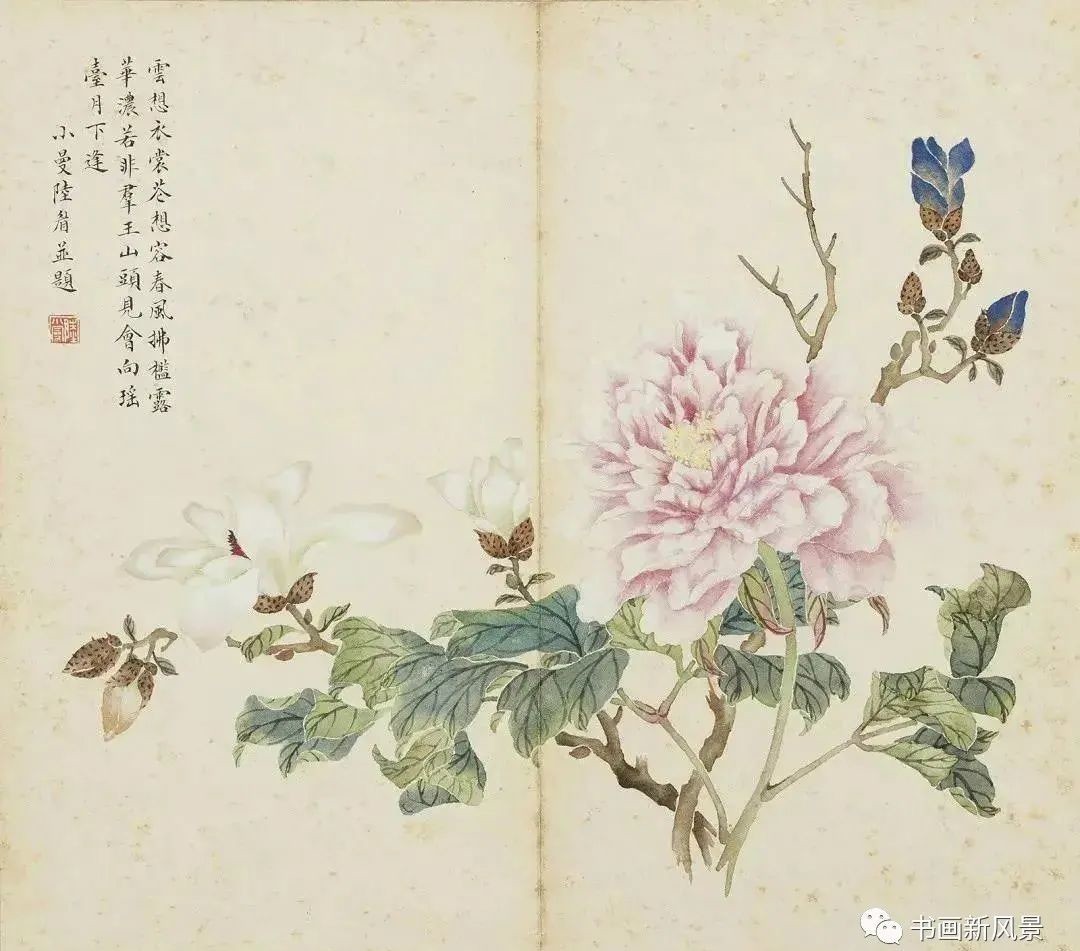 陆小曼花卉册页,很美很惊艳!