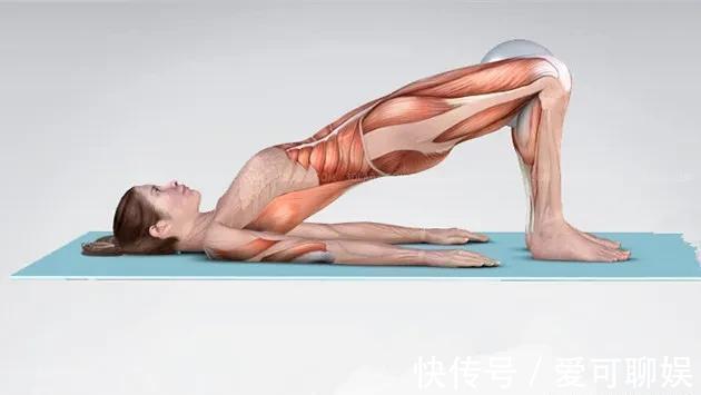 背部|练瑜伽,如何加强下背部力量?这8个动作超好用!(附解剖图)