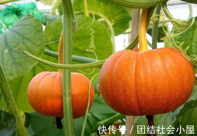 医生|北漂夫妻双双患高血脂，医生：煮粥放1物，钢铸的血管也撑不住