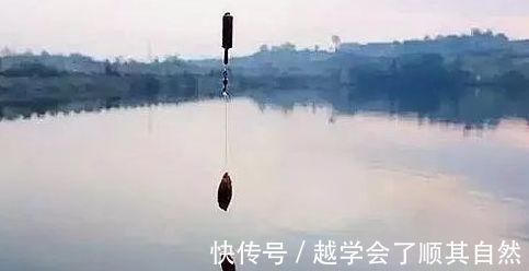 大鱼|夜钓鲤鱼，真的不用吹，这套钓法最管用，大鲤鱼接连入护