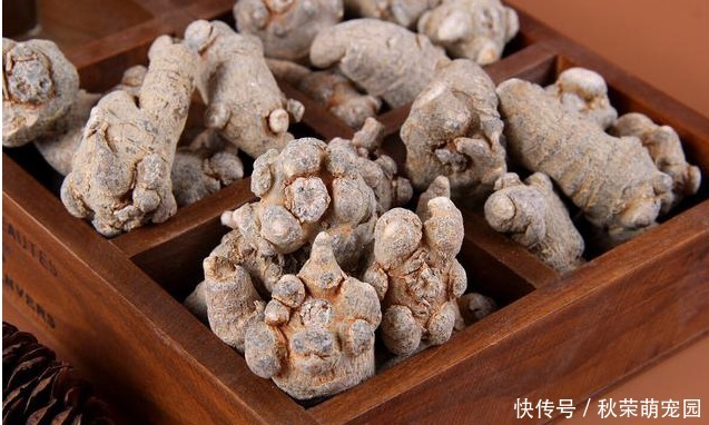 血脂|养生常备三味中药,改善气虚,补益脾肾,降低血脂