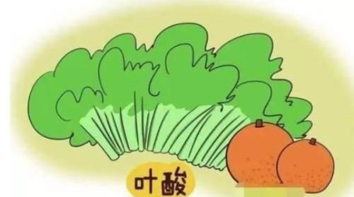 气色|女性45岁后,每天服用一片叶酸,身体或会收获哪些好处呢?