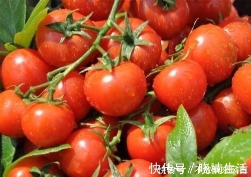 分解酶|提醒,炒西红柿不能放此物,吃了就是给自己找罪受,早知早健康