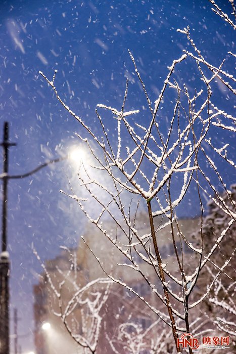 天桥|2022初雪美景惹人爱