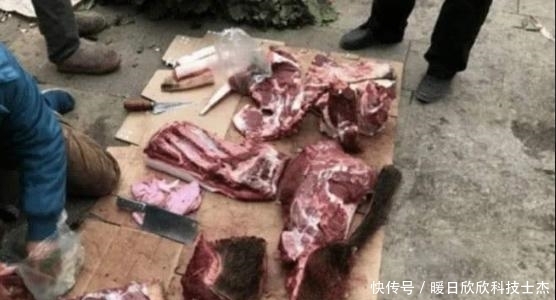  印度人是怎么卖肉的？看完他们的卖肉“神操作”，再也不想吃肉了