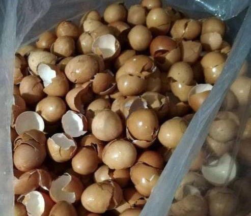 盆土里掺这2样东西,不用施肥,花都长满盆!