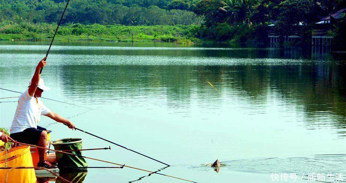 钓底|钓鱼必须鱼钩必须躺底打破传统方式,钓底钓浮都上鱼