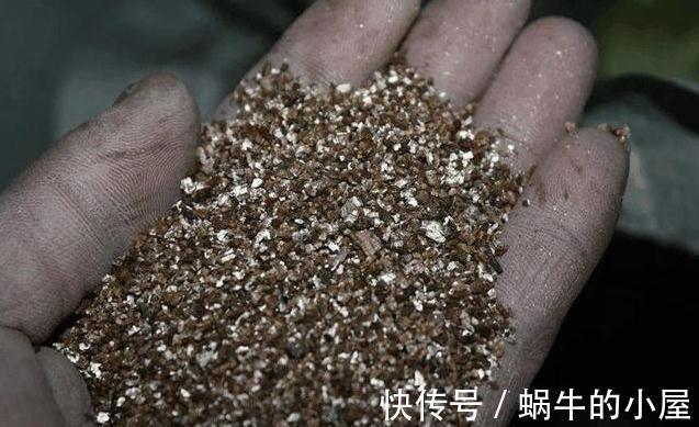 砍完头的多肉不生根咋办，你用1个菜篮子，10天就能猛长根