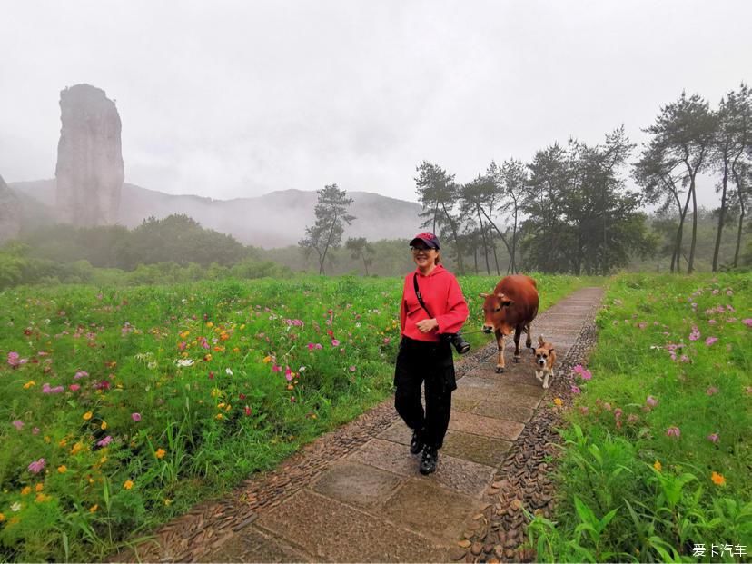 运河|大山深处的运河别院，碧水青山的田园风光，景色格外迷人！