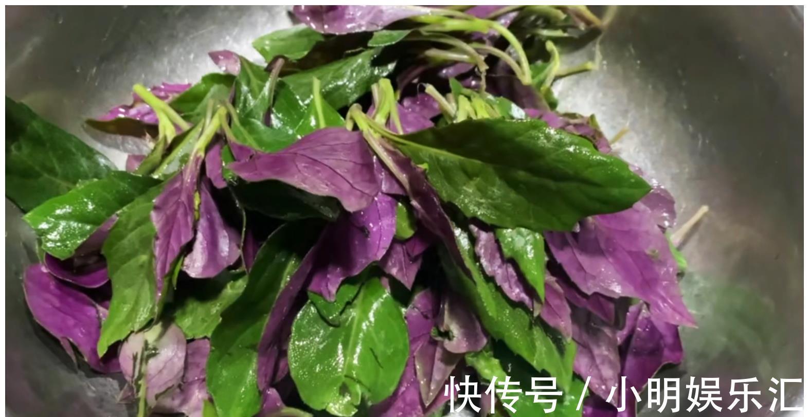 采摘|长在路边的20种杂草可以当作野菜食用，你认识几种？
