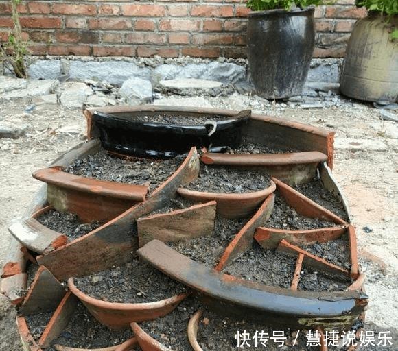 就可以|路边捡的破瓦罐,做成多肉拼盘,太好玩了