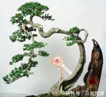 也许你不需要一个庭院就能有一个园林