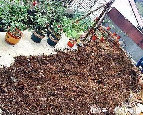 养花旧土别丢，掺入这“3样”，肥得流油不板结，养花太旺了