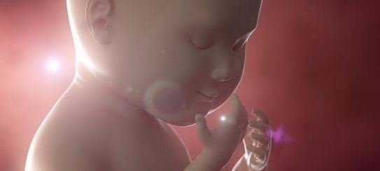 发育|怀孕后,孕妈身上若有这几个感觉,或许是胎儿暗示妈妈该吃饭了!