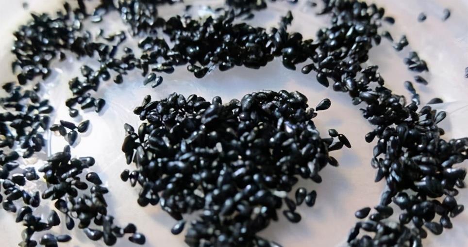 春天吃水果时,“果核”别扔,可以养成“小盆栽”,好吃又好看