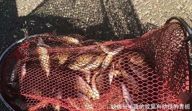新手钓友牢记钓鱼7忌,虽然不能助你多钓鱼,但也能不让你放炮