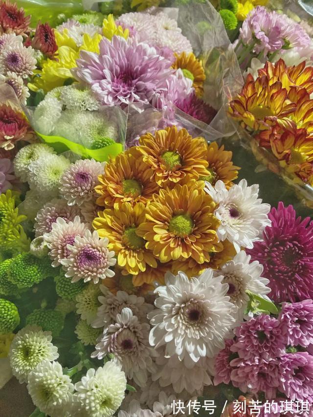 美翻!送上一份济南宝藏花卉市场指南,冬日一半的浪漫都在这里!