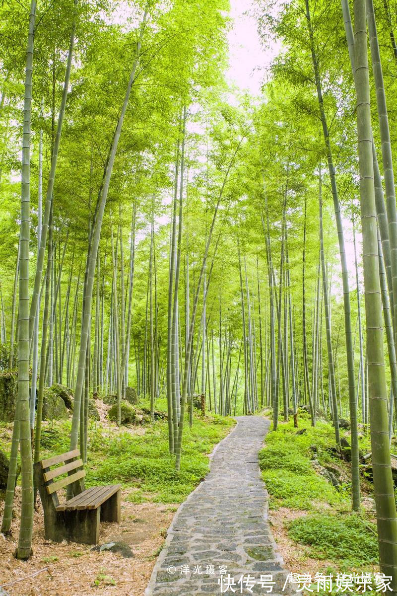 翠竹|这里才是桂林的秘境所在，水如碧玉山如黛