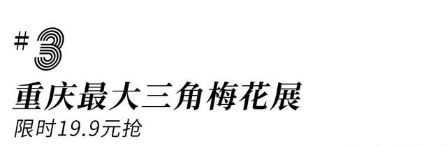 桑葚采摘、露营烧烤、赏花拍照，周末去这耍，巴适玩1天