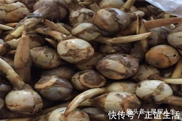 解毒|三种食物是“穷人的医生”,能养胃、润肺、解毒消炎,今晚要食