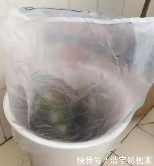 花卉|废弃的“塑料袋”要收好,养花时大有用处,可促进花卉生长、爆盆