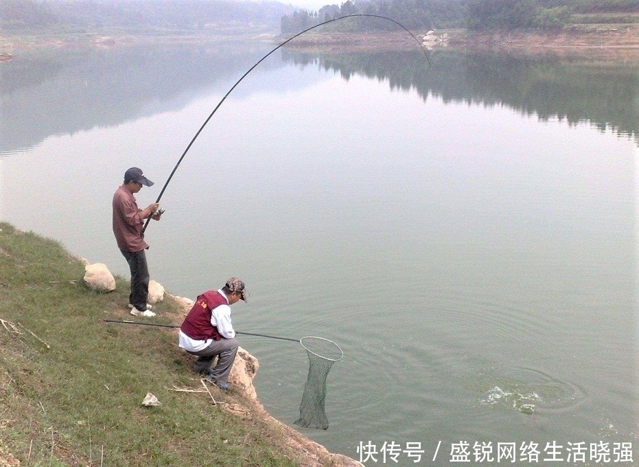 杂鱼|有鱼吃饵,扬竿却不中鱼,做好这些细节,精准抓口鱼难逃