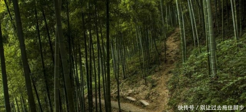 苏轼最俗气的一首诗,其中有两句还是至理名言,相信很多人都听过