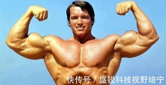 健美|谁是手臂之王？施瓦辛格55厘米，有人到达78厘米
