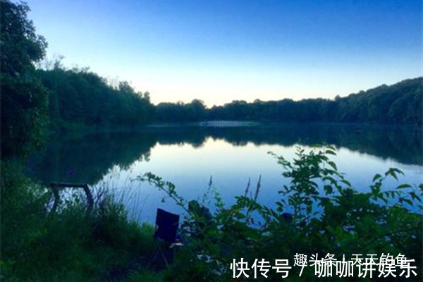 鲤鱼这样钓才够狠,这些秘诀是连竿上鱼的关键,夏天不用就亏了!